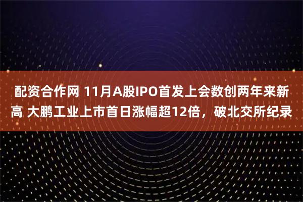配资合作网 11月A股IPO首发上会数创两年来新高 大鹏工业上市首日涨幅超12倍，破北交所纪录