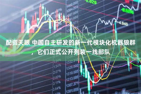 配资天眼 中国自主研发的新一代模块化机器狼群，它们正式公开列装一线部队